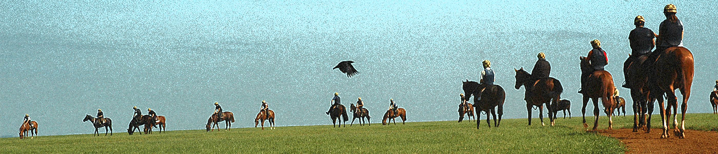 Blue Violet image —Racehorses on Newmarket Heath