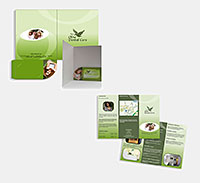 Olive Dental Care wallet and trifold leaflet