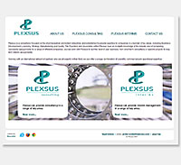 Plexsus logo, stationery and website
